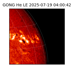 gong - 2025-07-19T04:00:42