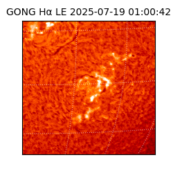 gong - 2025-07-19T01:00:42