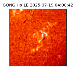 gong - 2025-07-19T04:00:42