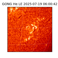gong - 2025-07-19T06:00:42