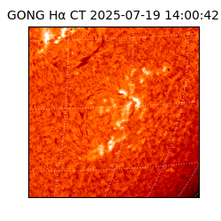 gong - 2025-07-19T14:00:42
