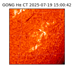 gong - 2025-07-19T15:00:42