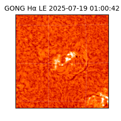 gong - 2025-07-19T01:00:42