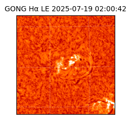 gong - 2025-07-19T02:00:42