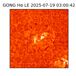 gong - 2025-07-19T03:00:42