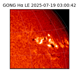 gong - 2025-07-19T03:00:42
