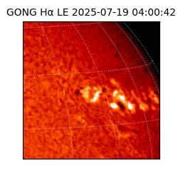gong - 2025-07-19T04:00:42