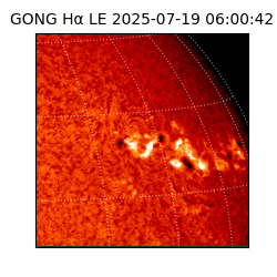 gong - 2025-07-19T06:00:42