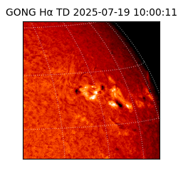 gong - 2025-07-19T10:00:11