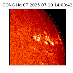 gong - 2025-07-19T14:00:42