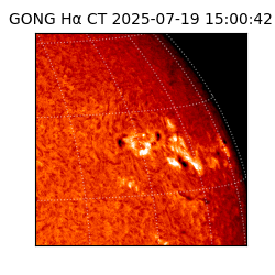 gong - 2025-07-19T15:00:42