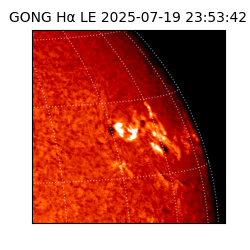 gong - 2025-07-19T23:53:42