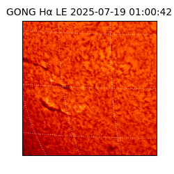 gong - 2025-07-19T01:00:42