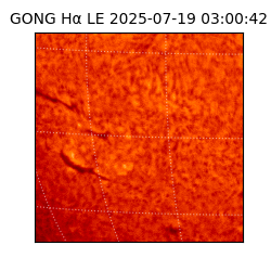 gong - 2025-07-19T03:00:42