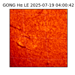 gong - 2025-07-19T04:00:42