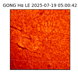 gong - 2025-07-19T05:00:42