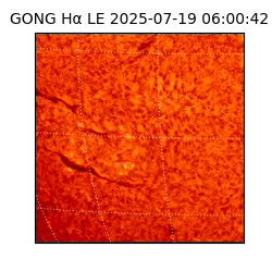 gong - 2025-07-19T06:00:42