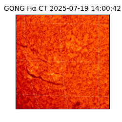 gong - 2025-07-19T14:00:42
