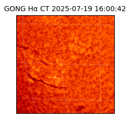 gong - 2025-07-19T16:00:42