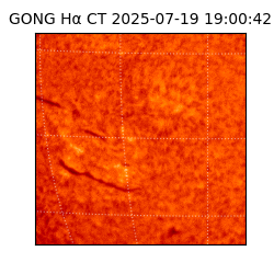gong - 2025-07-19T19:00:42
