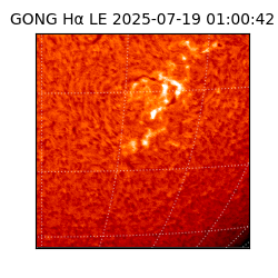 gong - 2025-07-19T01:00:42