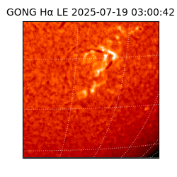 gong - 2025-07-19T03:00:42