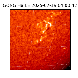 gong - 2025-07-19T04:00:42