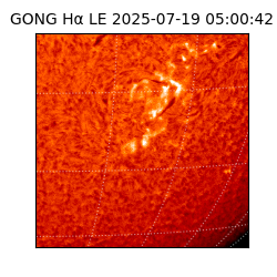 gong - 2025-07-19T05:00:42