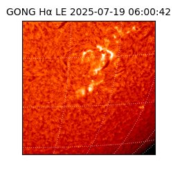 gong - 2025-07-19T06:00:42
