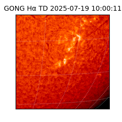 gong - 2025-07-19T10:00:11