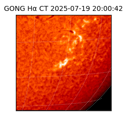 gong - 2025-07-19T20:00:42