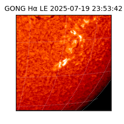 gong - 2025-07-19T23:53:42