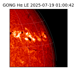 gong - 2025-07-19T01:00:42