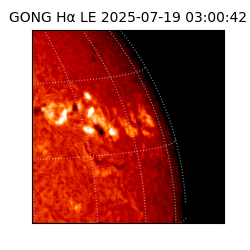 gong - 2025-07-19T03:00:42