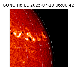 gong - 2025-07-19T06:00:42