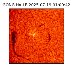 gong - 2025-07-19T01:00:42