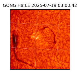 gong - 2025-07-19T03:00:42