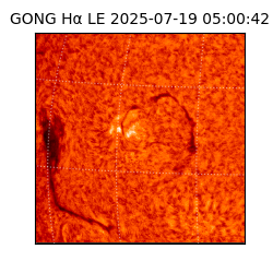 gong - 2025-07-19T05:00:42