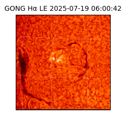 gong - 2025-07-19T06:00:42
