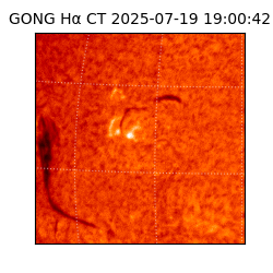 gong - 2025-07-19T19:00:42