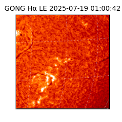 gong - 2025-07-19T01:00:42