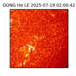 gong - 2025-07-19T02:00:42
