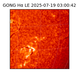 gong - 2025-07-19T03:00:42