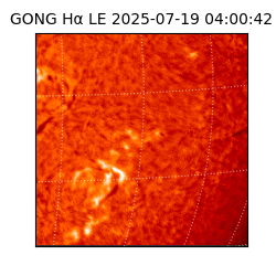 gong - 2025-07-19T04:00:42