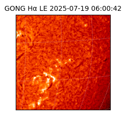 gong - 2025-07-19T06:00:42