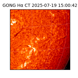gong - 2025-07-19T15:00:42