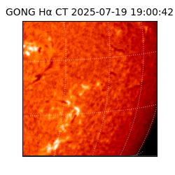 gong - 2025-07-19T19:00:42