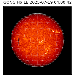 gong - 2025-07-19T04:00:42