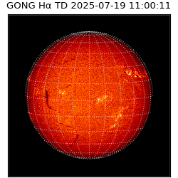 gong - 2025-07-19T11:00:11