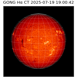 gong - 2025-07-19T19:00:42